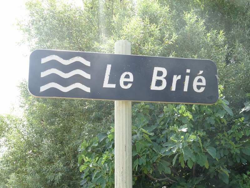 C31_BRIE Vidourle.JPG