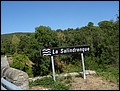 B_SALINDRENQUE.JPG