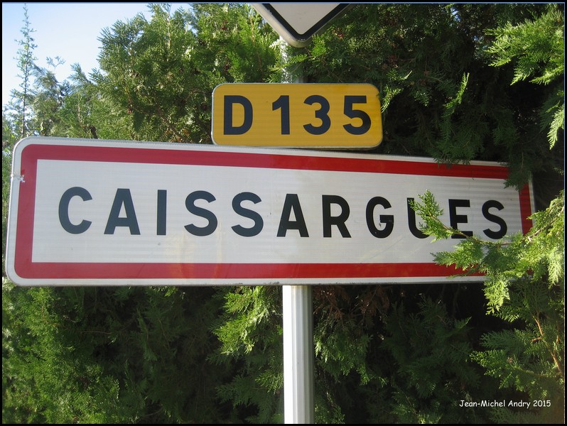 Caissargues 30 - Jean-Michel Andry.jpg