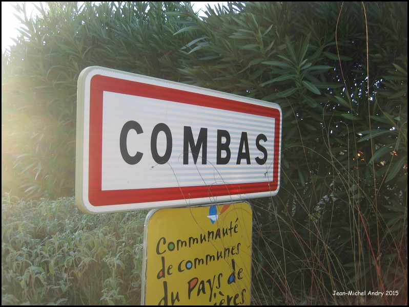 Combas 30 - Jean-Michel Andry.jpg