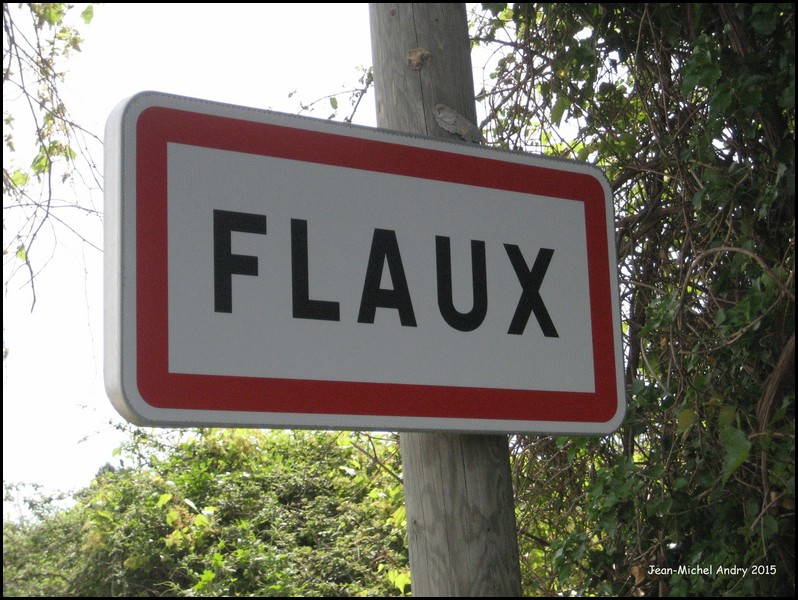Flaux 30 - Jean-Michel Andry.jpg