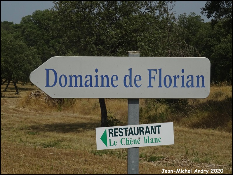 Logrian-Florian 2 30 - Jean-Michel Andry.jpg