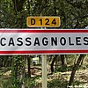 Cassagnoles 30 - Jean-Michel Andry.jpg