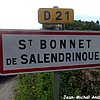 Saint-Bonnet-de-Salendrinque 30 - Jean-Michel Andry.jpg