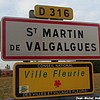 Saint-Martin-de-Valgalgues 30 - Jean-Michel Andry.jpg