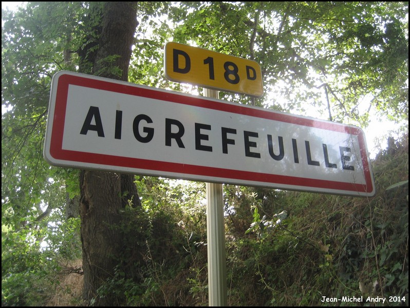 Aigrefeuille 31 - Jean-Michel Andry.jpg
