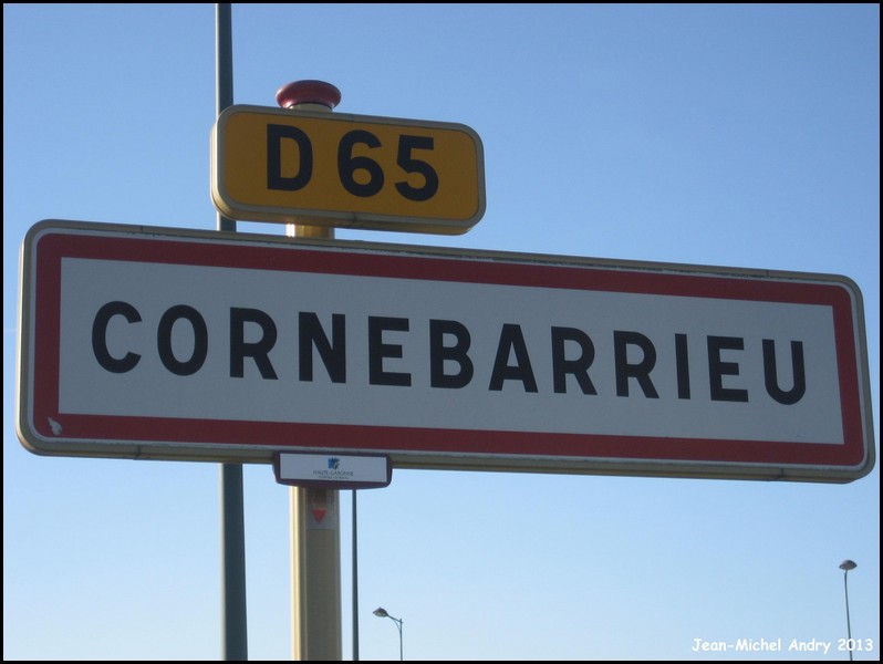 Cornebarrieu 31 - Jean-Michel Andry.jpg