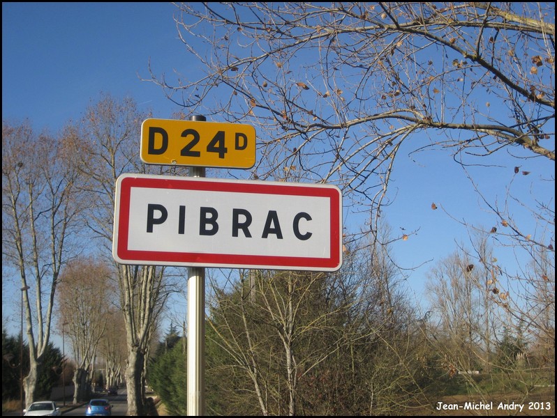 Pibrac 31 - Jean-Michel Andry.jpg