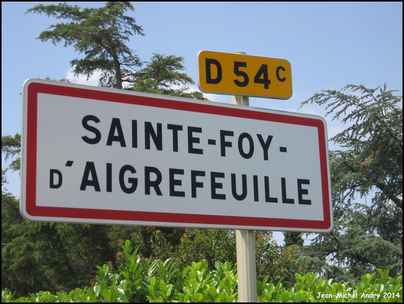 Sainte-Foy-d'Aigrefeuille 31 - Jean-Michel Andry.jpg