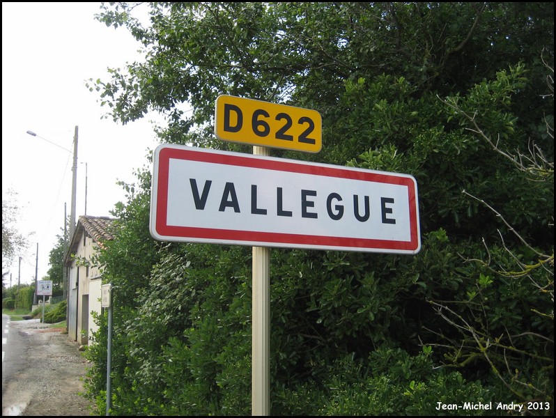 Vallegue 31 - Jean-Michel Andry.jpg