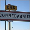 Cornebarrieu 31 - Jean-Michel Andry.jpg