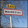 Mauressac 31 - Jean-Michel Andry.jpg