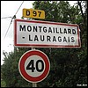 Montgaillard-Lauragais 31 - Jean-Michel Andry.jpg