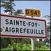 Sainte-Foy-d'Aigrefeuille 31 - Jean-Michel Andry.jpg