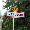 Vallegue 31 - Jean-Michel Andry.jpg