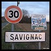 Savignac-Mona 1 32 - Jean-Michel Andry.jpg