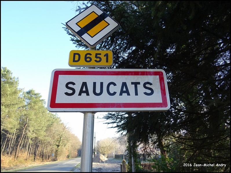 Saucats 33 - Jean-Michel Andry.jpg
