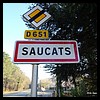 Saucats 33 - Jean-Michel Andry.jpg