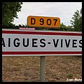 Aigues-Vives 34 - Jean-Michel Andry.jpg