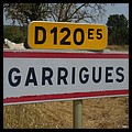 Garrigues 34  - Jean-Michel Andry.jpg