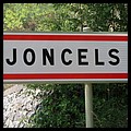 Joncels 34 - Jean-Michel Andry.jpg