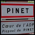 Pinet 34  - Jean-Michel Andry.jpg
