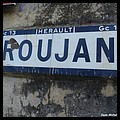 Roujan 34 - Jean-Michel Andry.jpg