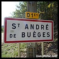Saint-André-de-Buèges 34 - Jean-Michel Andry.jpg