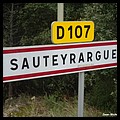 Sauteyrargues 34 - Jean-Michel Andry.jpg