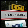 Saulnières 35 - Jean-Michel Andry.jpg
