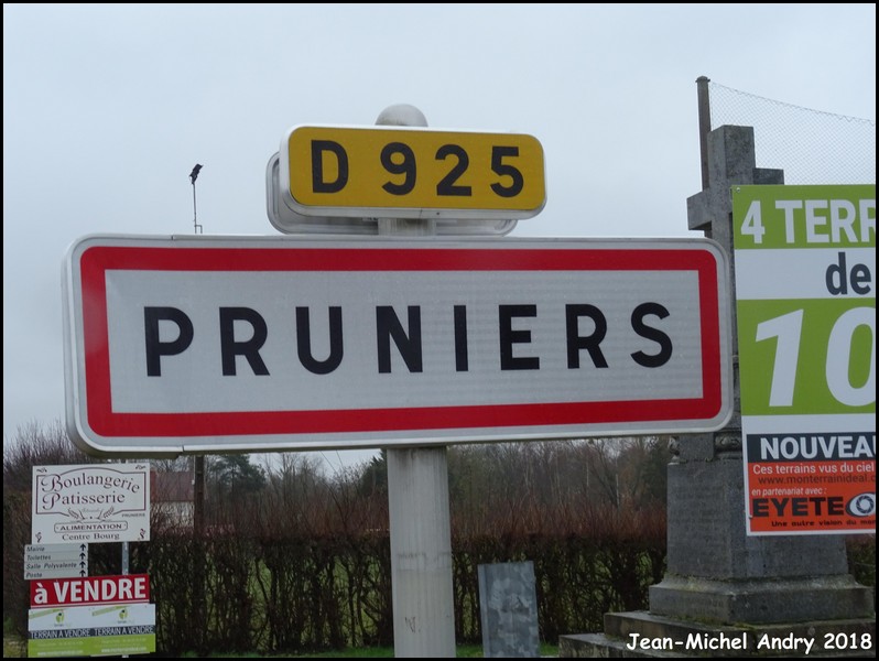 Pruniers 36 - Jean-Michel Andry.jpg