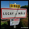 Luçay-le-Mâle 36 - Jean-Michel Andry.jpg