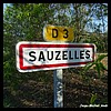 Sauzelles 36 - Jean-Michel Andry.jpg