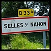 Selles-sur-Nahon 36 - Jean-Michel Andry.jpg