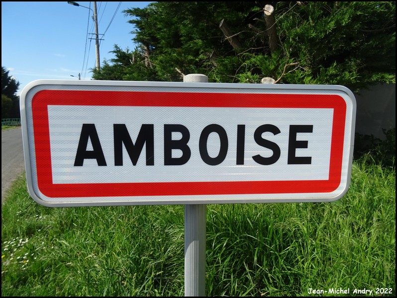 Amboise 37 - Jean-Michel Andry.jpg