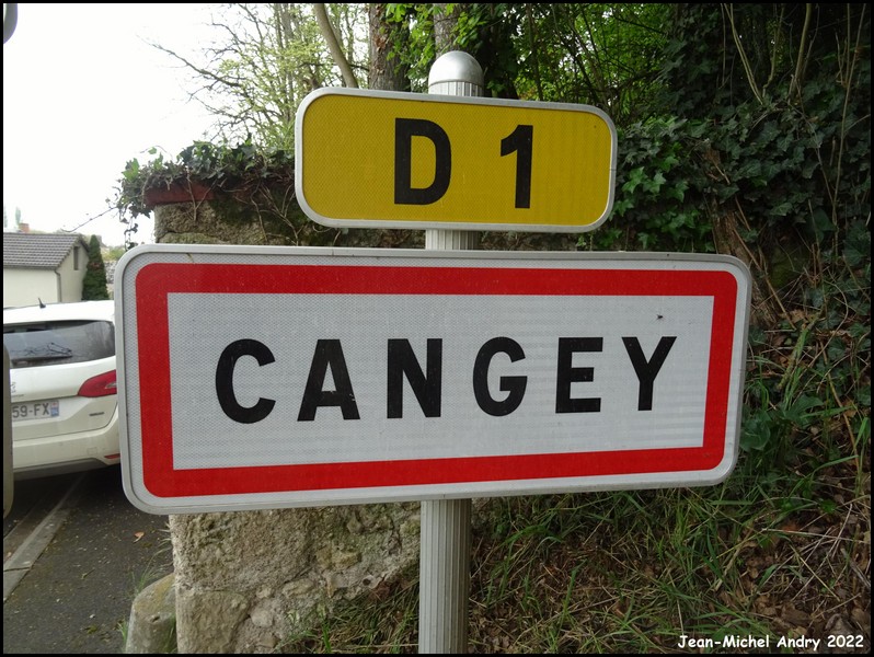 Cangey 37 - Jean-Michel Andry.jpg