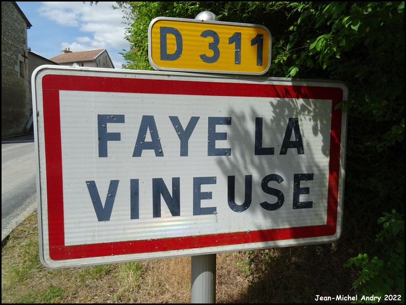 Faye-la-Vineuse 37 - Jean-Michel Andry.jpg