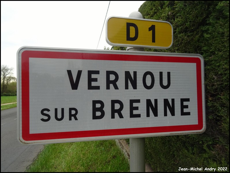 Vernou-sur-Brenne 37 - Jean-Michel Andry.jpg
