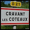 Cravant-les-Côteaux 37 - Jean-Michel Andry.jpg