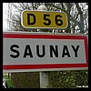 Saunay 37 - Jean-Michel Andry.jpg