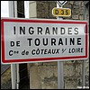 Ingrandes-de-Touraine 37 - Jean-Michel Andry.jpg