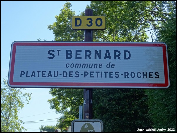 Saint-Bernard 38 - Jean-Michel Andry.jpg