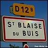 Saint-Blaise-du-Buis 38 - Jean-Michel Andry.jpg