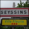 Seyssins 38 - Jean-Michel Andry.jpg