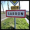 Sarron 40 - Jean-Michel Andry.jpg