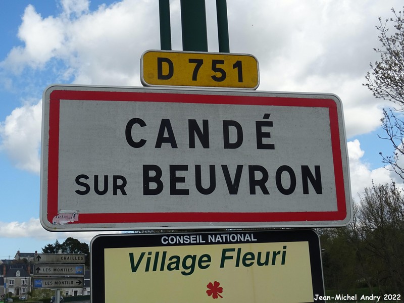 Candé-sur-Beuvron 41 - Jean-Michel Andry.jpg