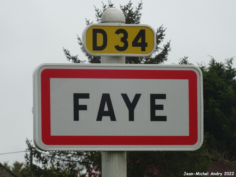Faye 41 - Jean-Michel Andry.jpg
