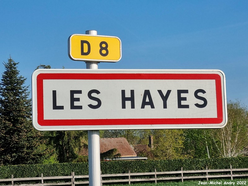 Les Hayes 41 - Jean-Michel Andry.jpg