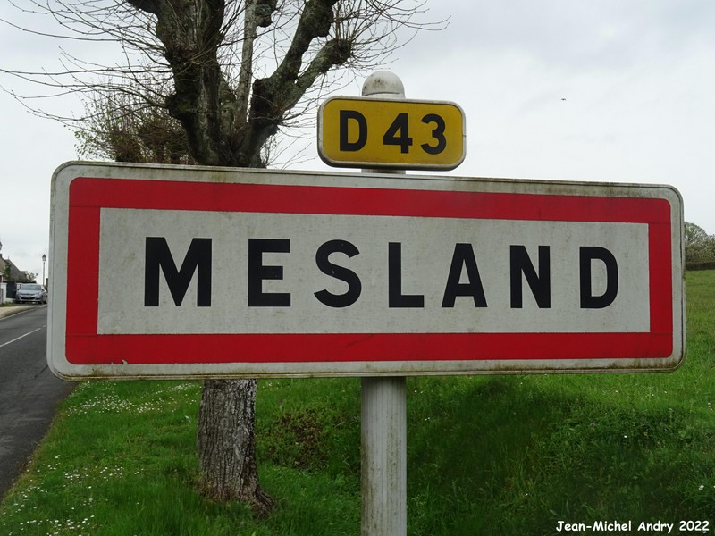 Mesland 41 - Jean-Michel Andry.jpg