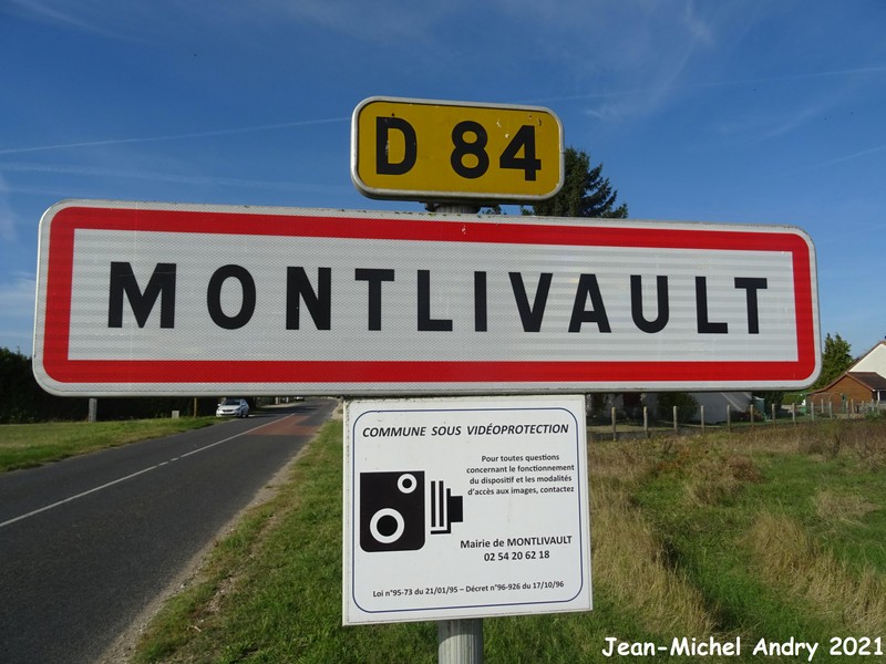 Montlivault 41 - Jean-Michel Andry.jpg